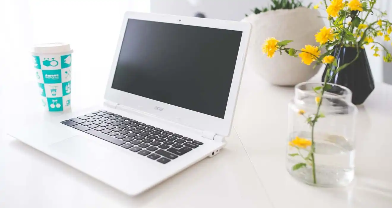 Ремонт ноутбуков Acer в Мытищах